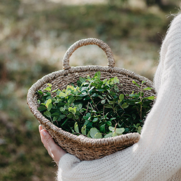 Meža ogu aromatizētie vaska aplīši